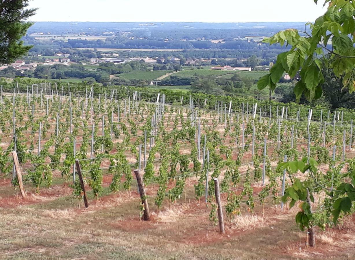 Domaine De La Belle Lurette Vila Saint-Pierre-d'Aurillac Exterior foto